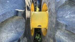 img (19)_19_19