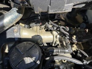 img (50)_1_13